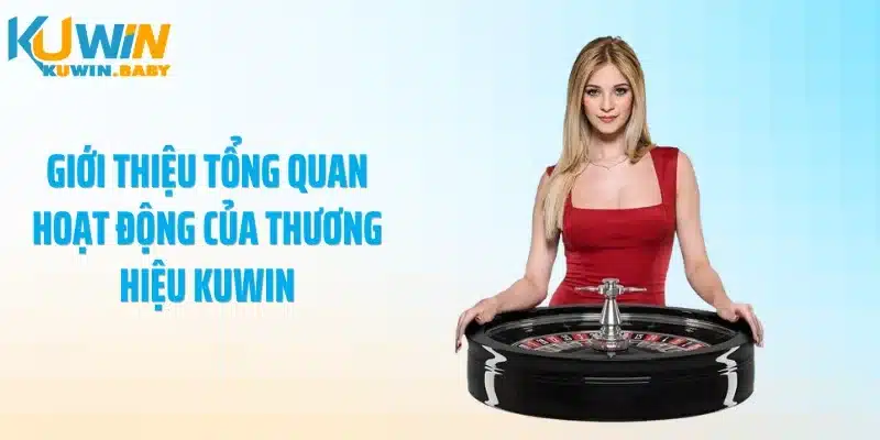 Giới thiệu tổng quan hoạt động của thương hiệu KUWIN